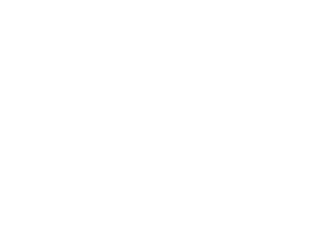 Carro escoba