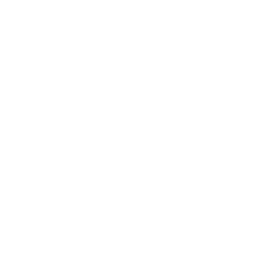 Jersey oficial